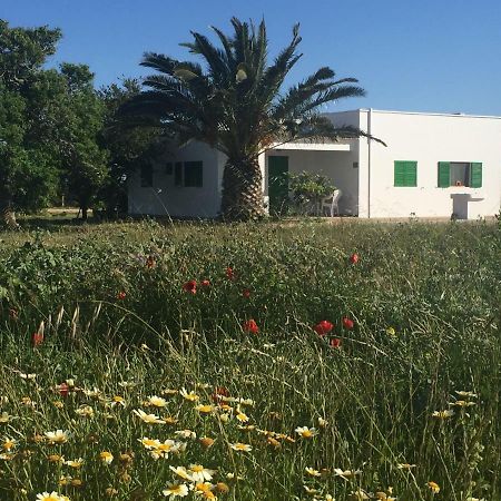 Es Magraner Βίλα Cala Saona Εξωτερικό φωτογραφία