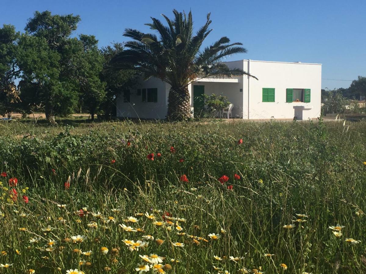 Es Magraner Βίλα Cala Saona Εξωτερικό φωτογραφία